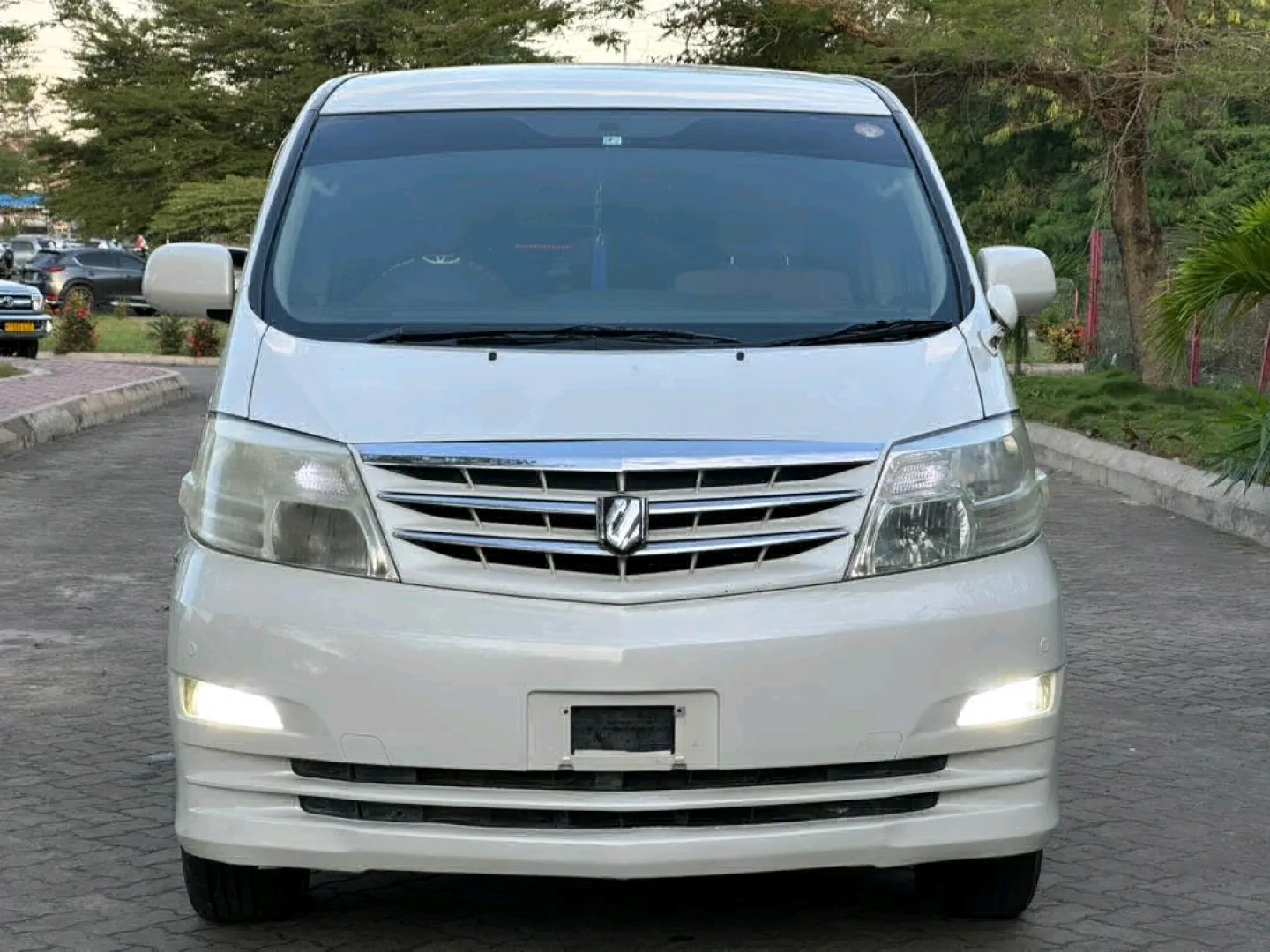 Toyota Alphard 2007 Minivan