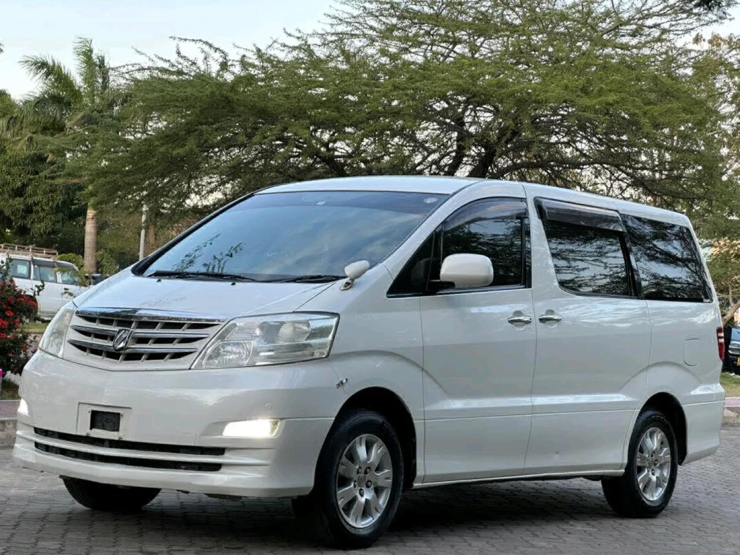 Toyota Alphard 2007 Minivan thumbnail 6