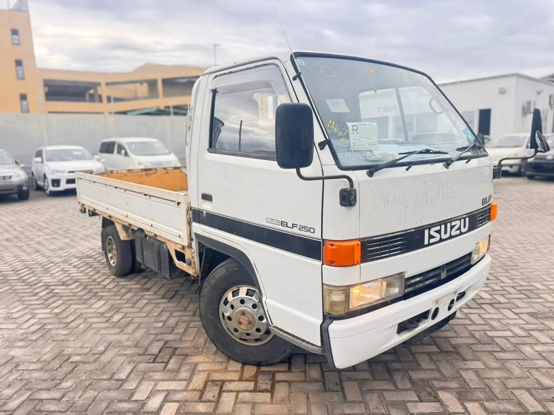 Isuzu Elf 250 Truck (1990) thumbnail 8