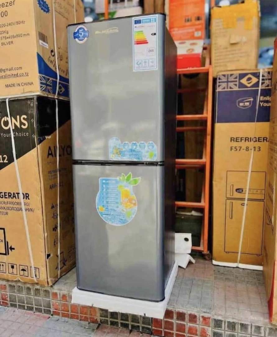 Blackark 168L Two-Door Bottom Freezer Refrigerator