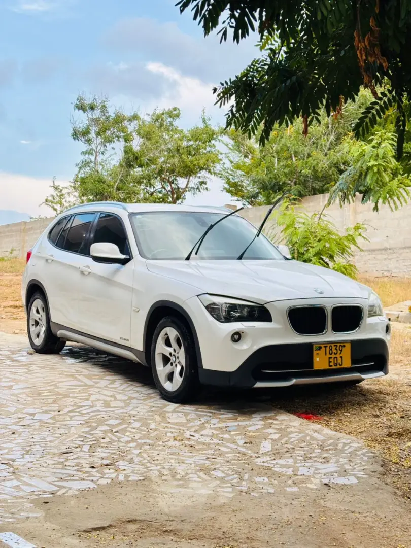 BMW X1 2010