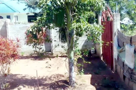 Eneo la Ardhi na Nyumba Kiseke, Mwanza thumbnail 2