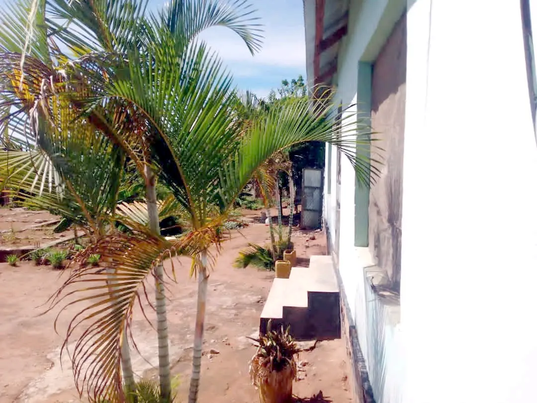 Eneo la Ardhi na Nyumba Kiseke, Mwanza thumbnail 3