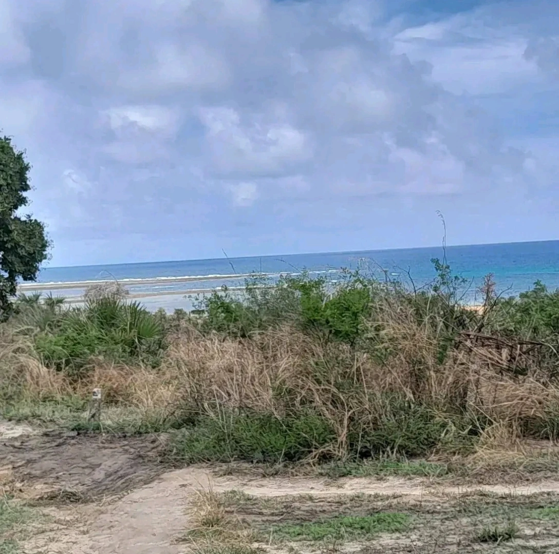 First Row Beach Plot for Sale in Kigamboni thumbnail 4