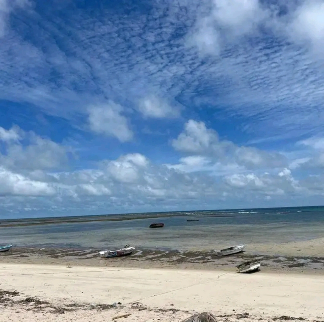 First Row Beach Plot for Sale in Kigamboni thumbnail 5