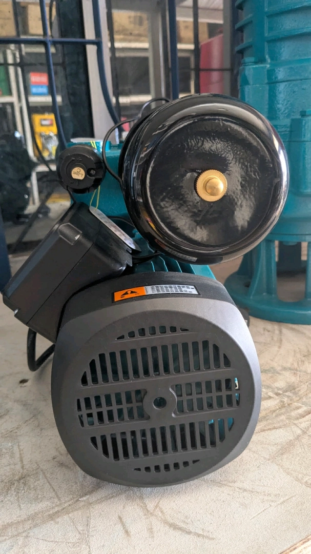 Electric Water Pump WZB-NJ1100W thumbnail 2