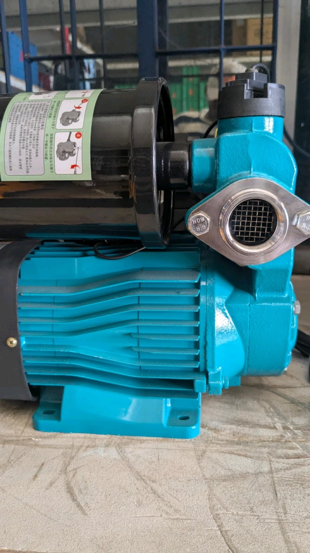 Electric Water Pump WZB-NJ1100W thumbnail 5