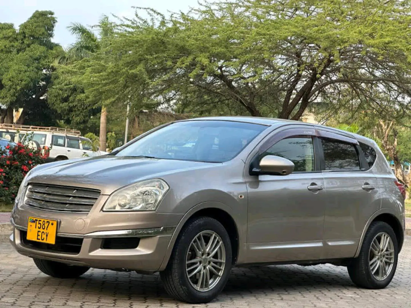2008 Nissan Dualis Gold thumbnail 3