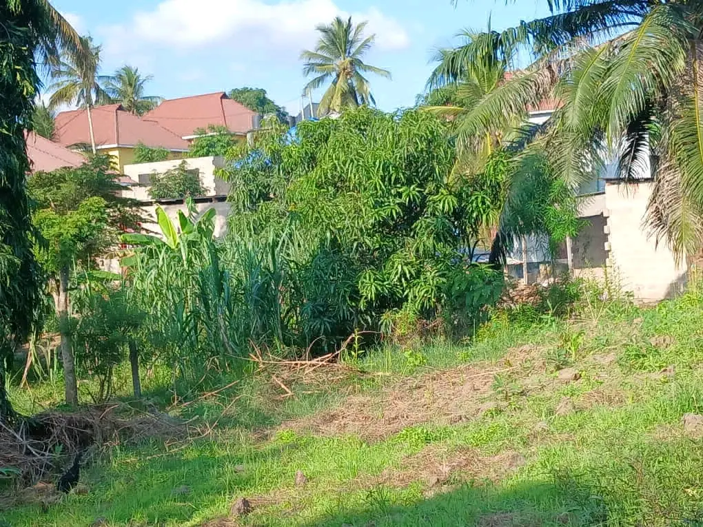 Viwanja Goba Mageti