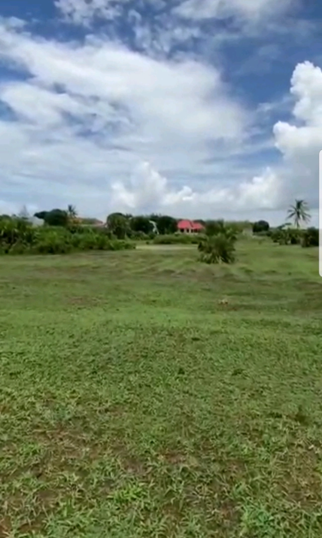Viwanja Vinauzwa Dar es Salaam & Pwani (Kibaha, Kigamboni, Mbezi) thumbnail 2