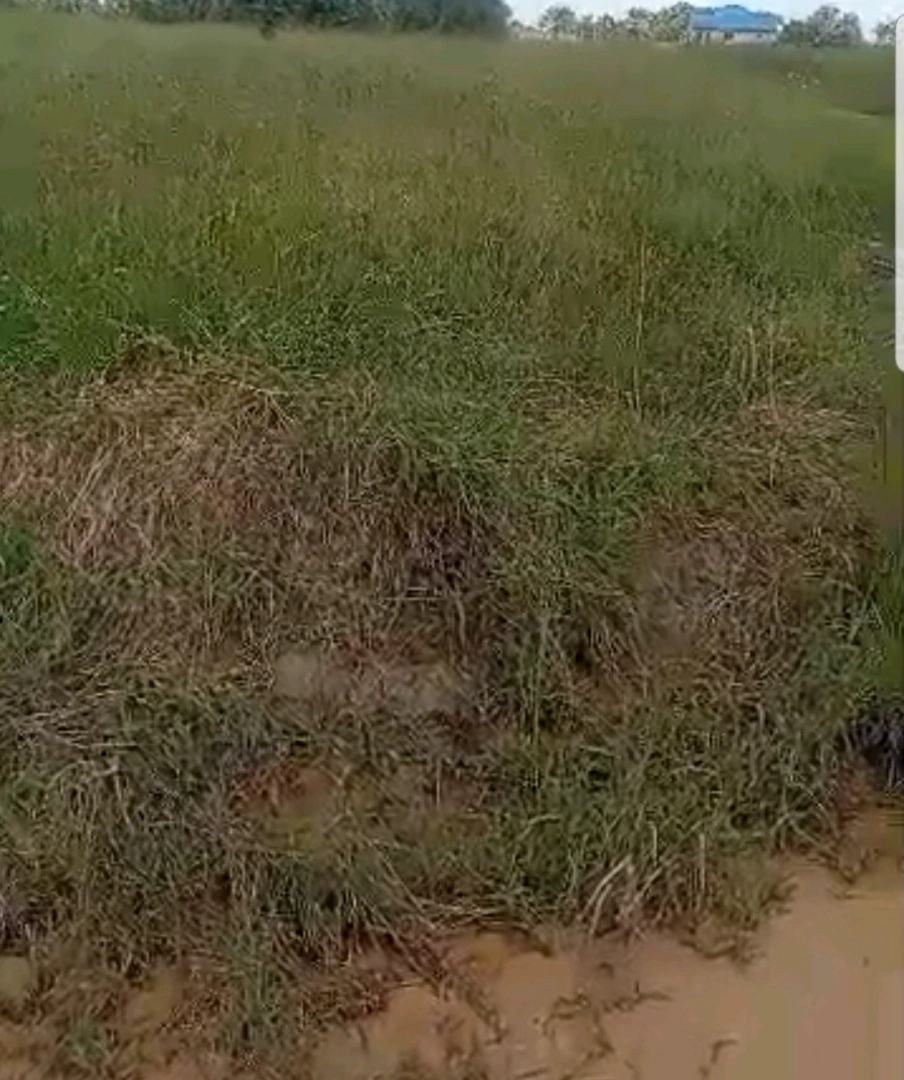 Viwanja Vinauzwa Dar es Salaam & Pwani (Kibaha, Kigamboni, Mbezi) thumbnail 3