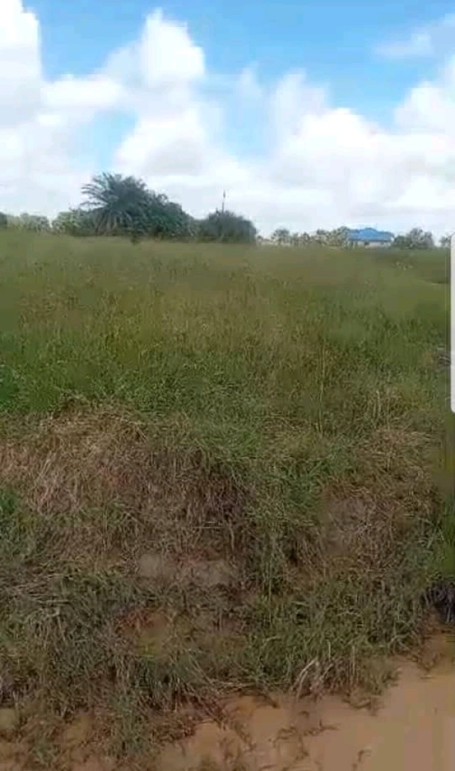 Viwanja Vinauzwa Dar es Salaam & Pwani (Kibaha, Kigamboni, Mbezi) thumbnail 4