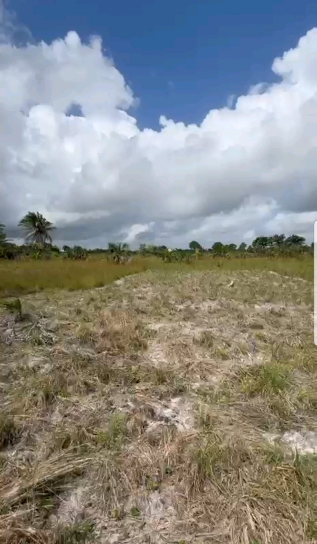 Viwanja Vinauzwa Dar es Salaam & Pwani (Kibaha, Kigamboni, Mbezi) thumbnail 5