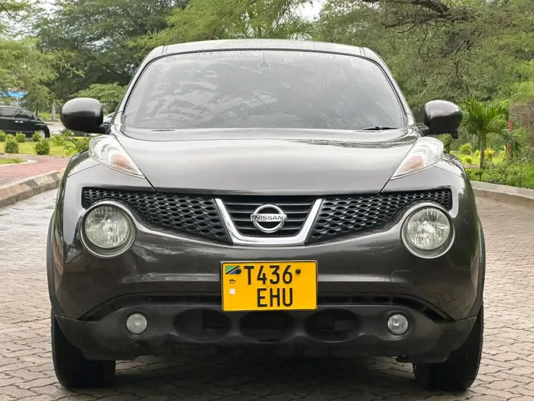 Grey Nissan Juke (Reg EHU)