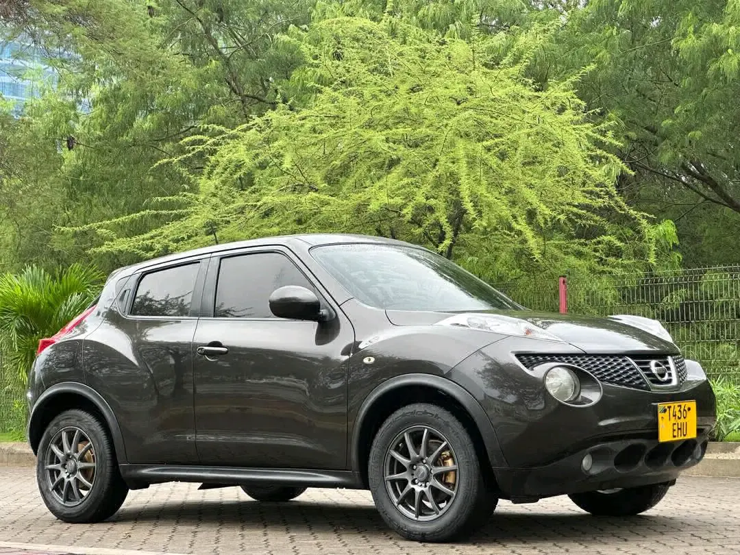 Grey Nissan Juke (Reg EHU) thumbnail 5