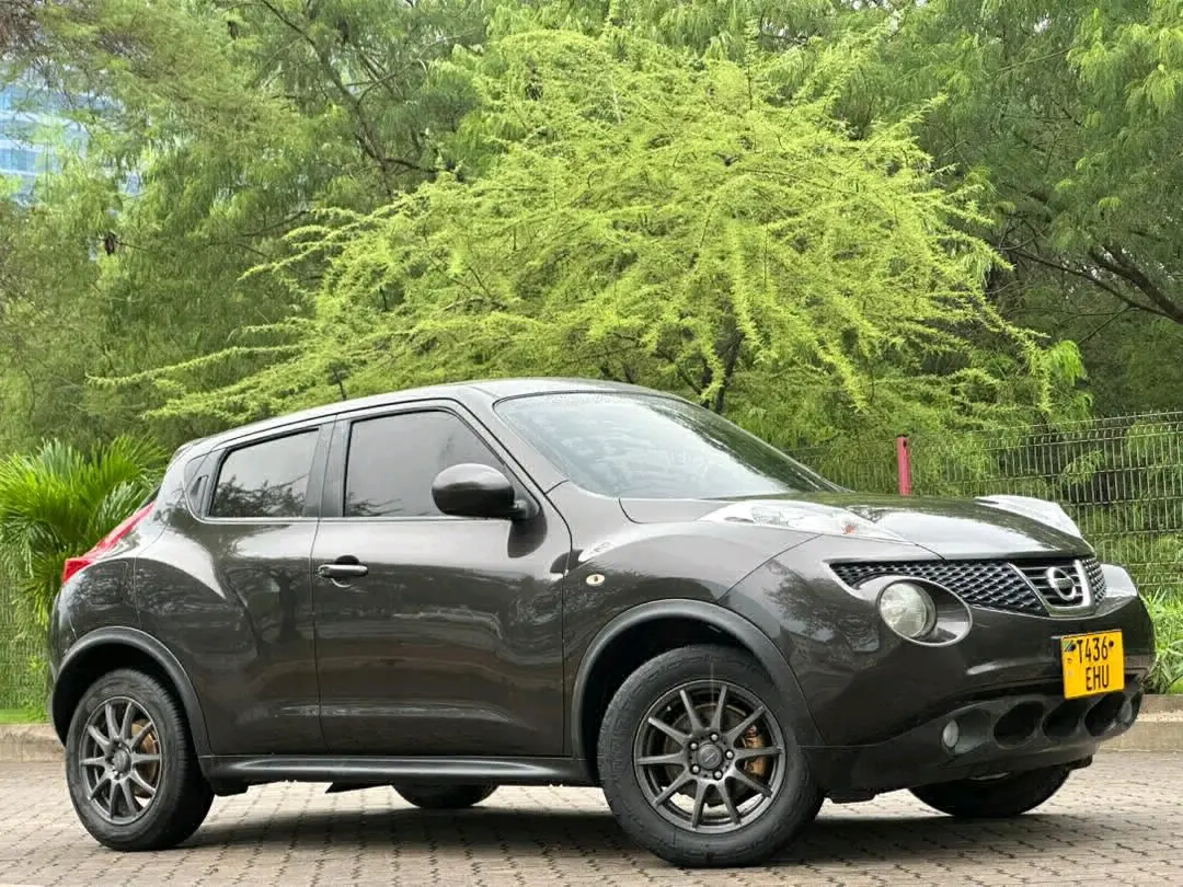 Grey Nissan Juke (Reg EHU) thumbnail 6