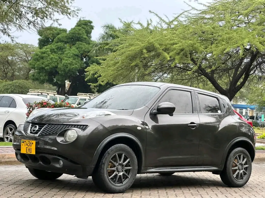 Grey Nissan Juke (Reg EHU) thumbnail 9