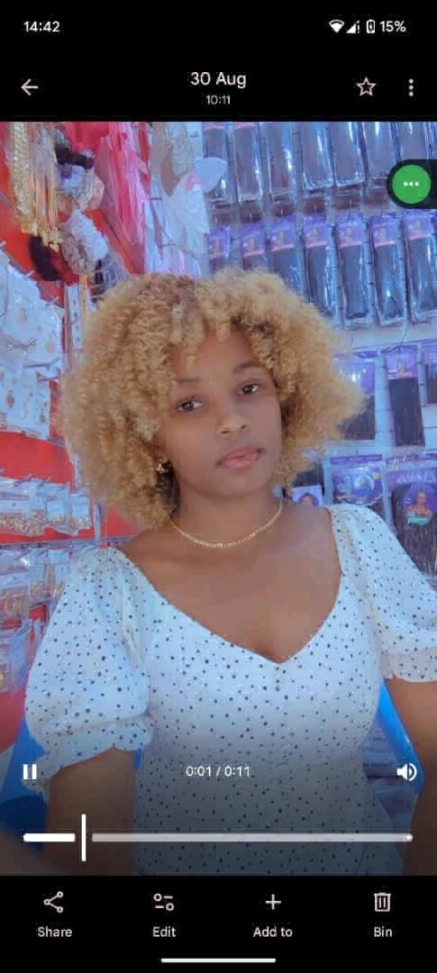 Fluffy Curly Blonde Wig