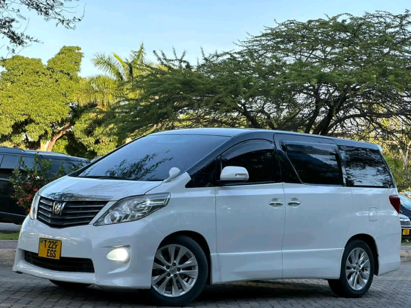 Toyota Alphard 2010 Minivan for Sale (Reg EGS)