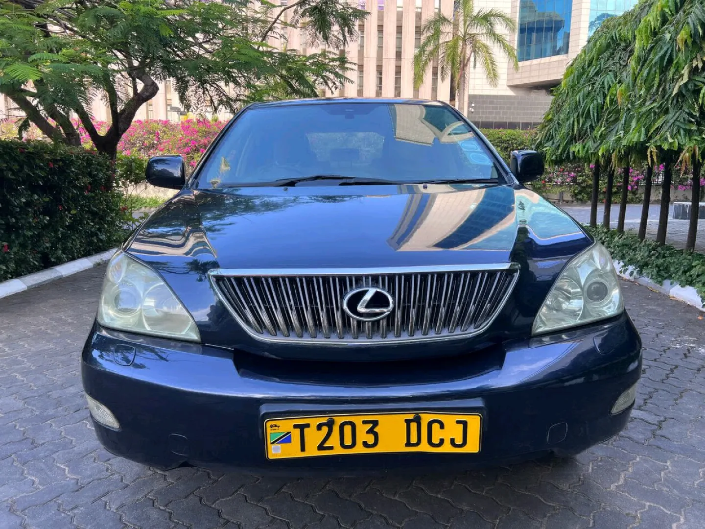 Used Dark Blue Lexus RX 3000 SUV 2005