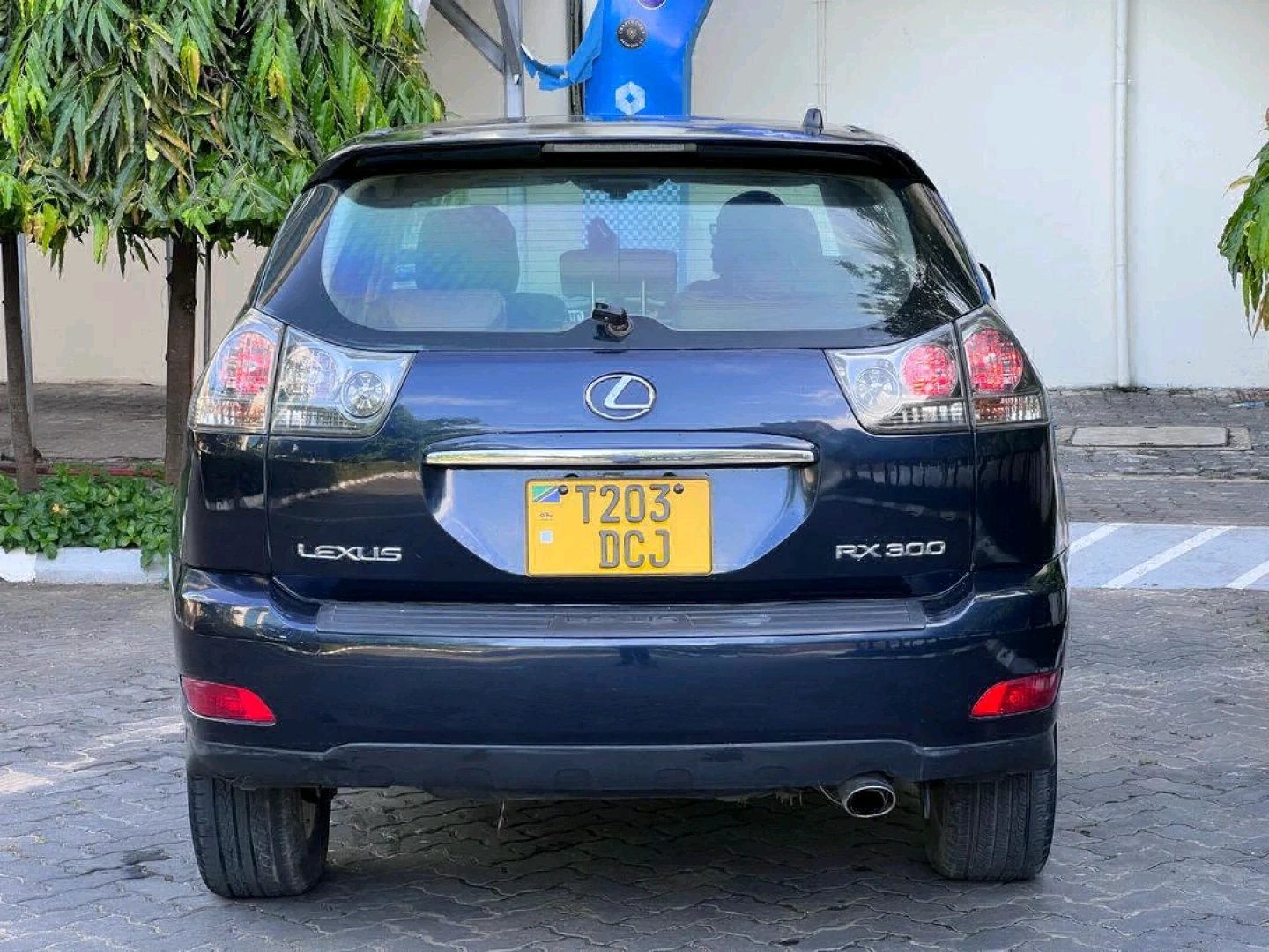 Used Dark Blue Lexus RX 3000 SUV 2005 thumbnail 2