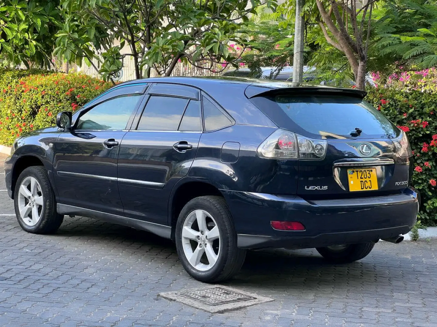 Used Dark Blue Lexus RX 3000 SUV 2005 thumbnail 3