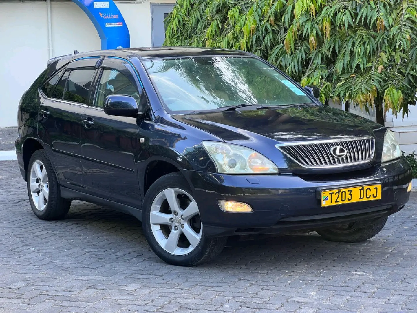 Used Dark Blue Lexus RX 3000 SUV 2005 thumbnail 4