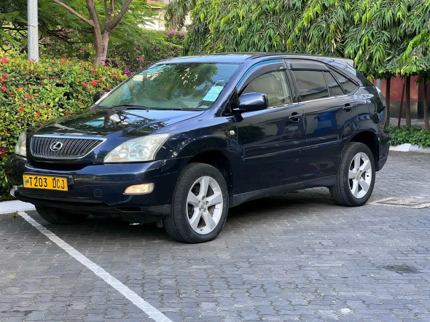 Used Dark Blue Lexus RX 3000 SUV 2005 thumbnail 5