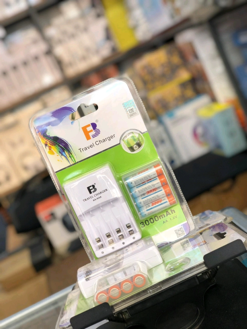 FB Travel Charger with 3000mAh AA Rechargeable Batteries