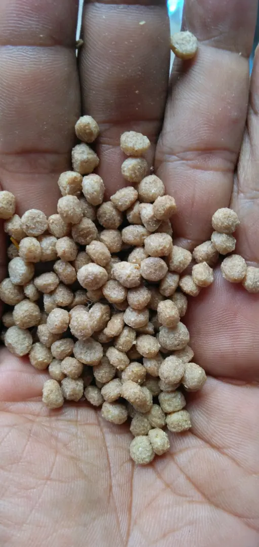 Chakula cha Samaki Special (Fish Feed)