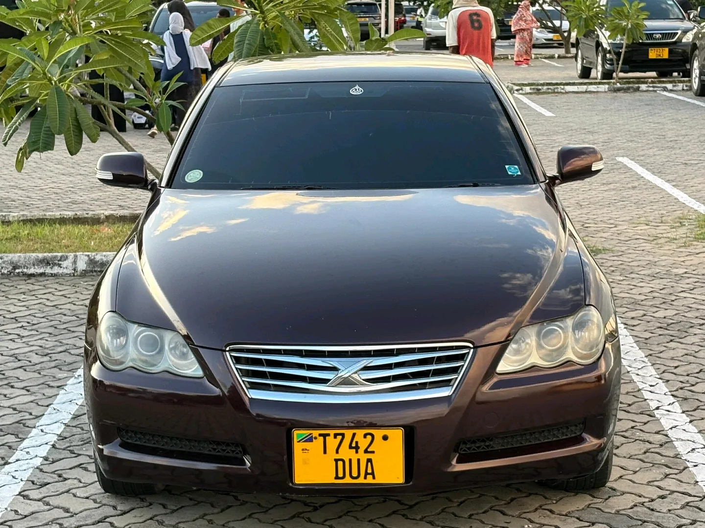 Toyota Mark X 2007 Red Wine DUA