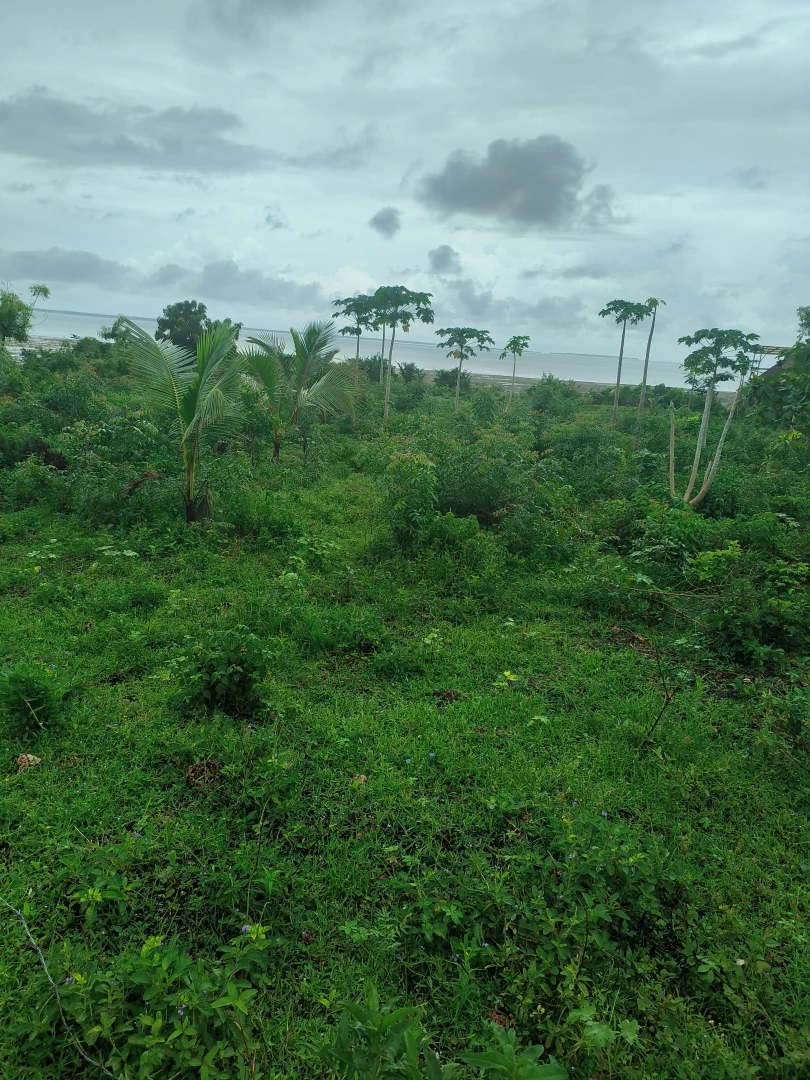 Undeveloped Land for Sale with Ocean View