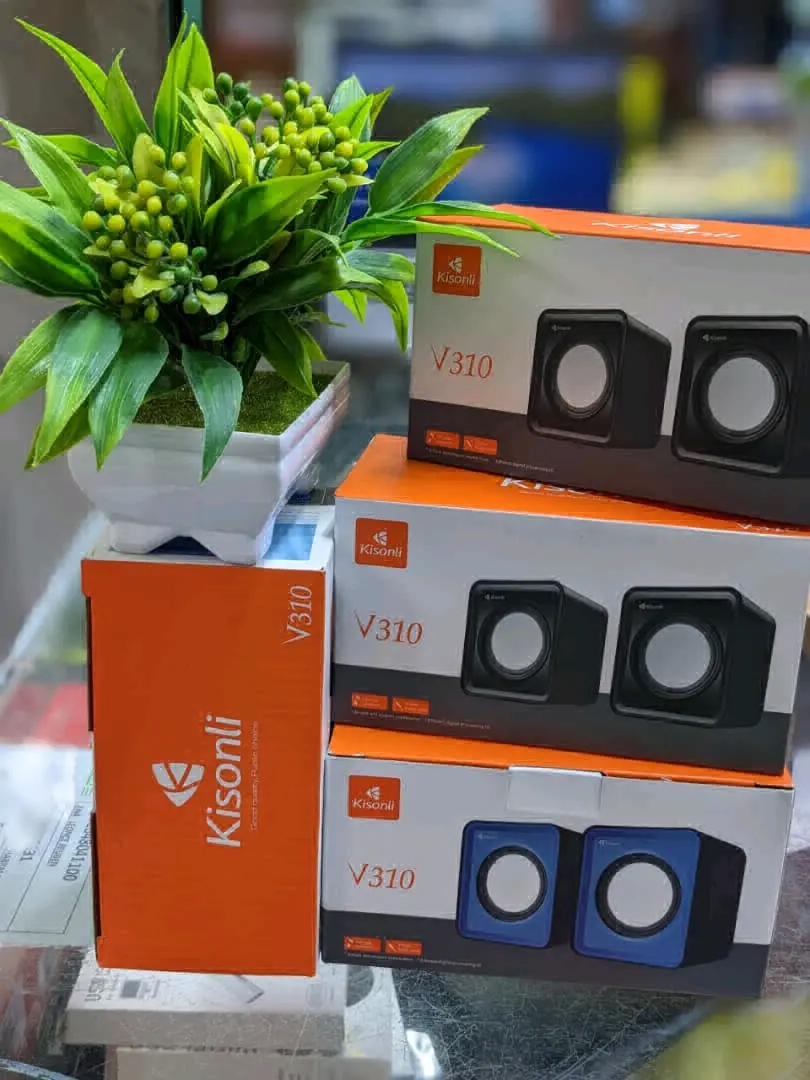 Kisonli V310 Multimedia USB Speakers for Laptop